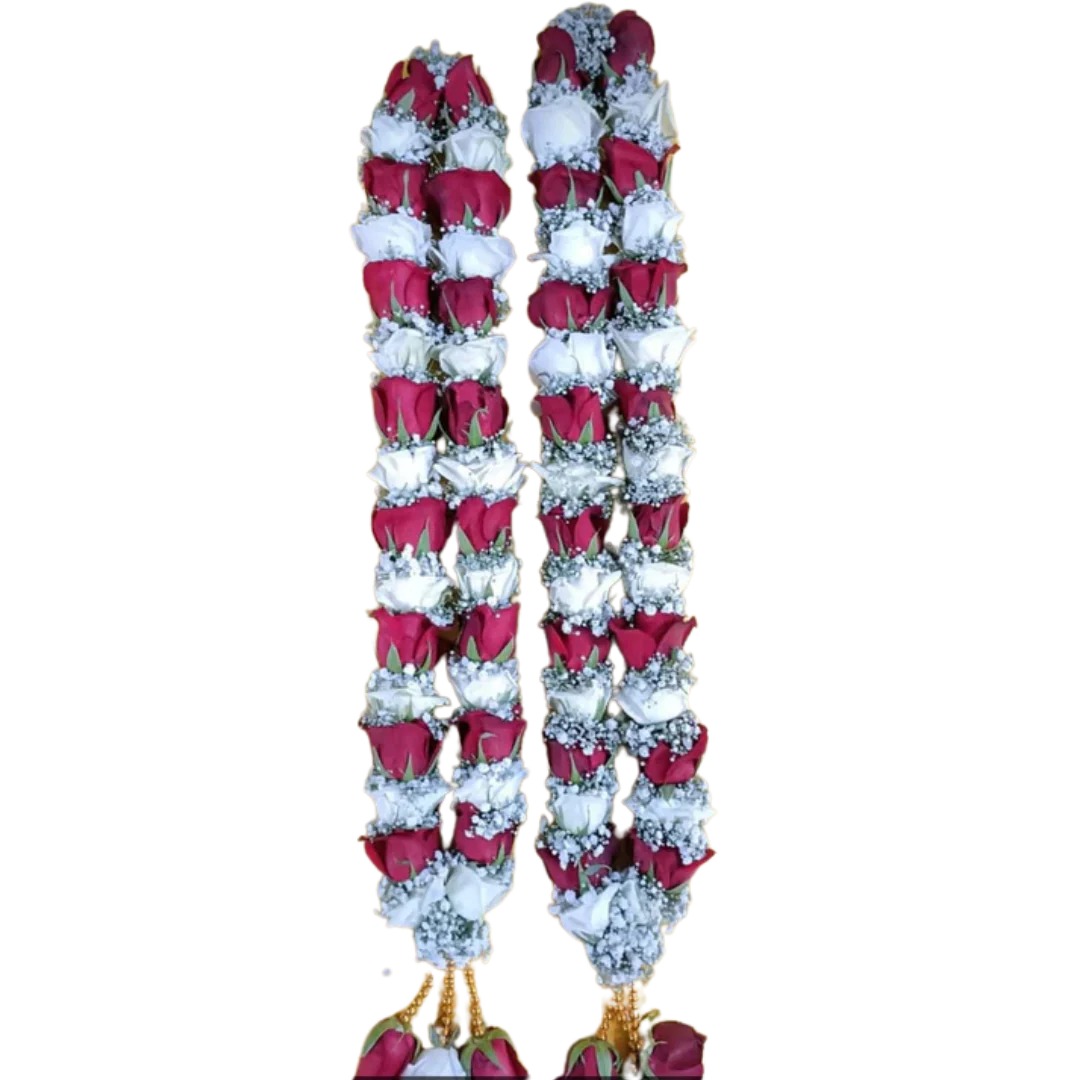 imgi_6_489_2f61df68-8a92-45e3-8edd-bfa4de02a91d