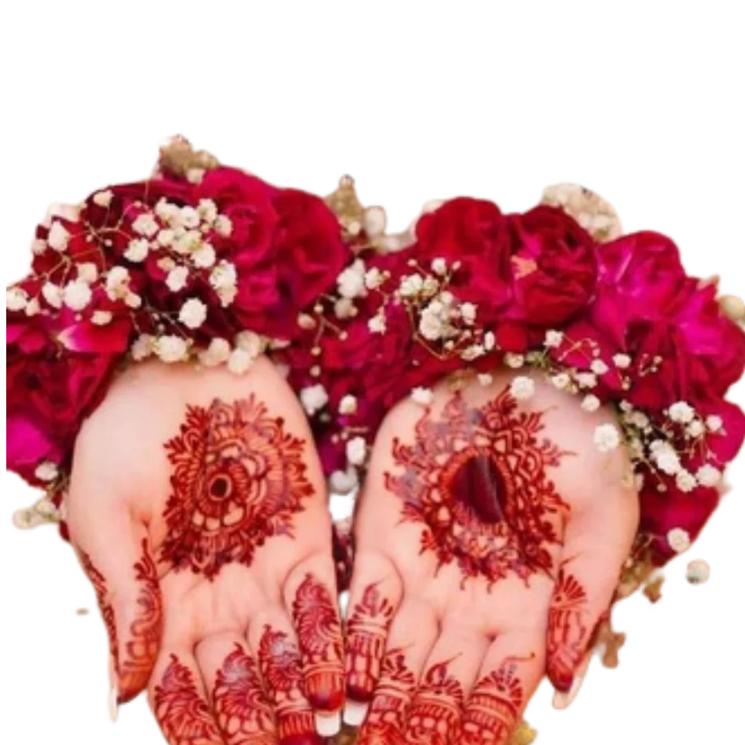 imgi_6_496_f2f0ac9b-3eeb-4150-a2ab-638816f8ccaf