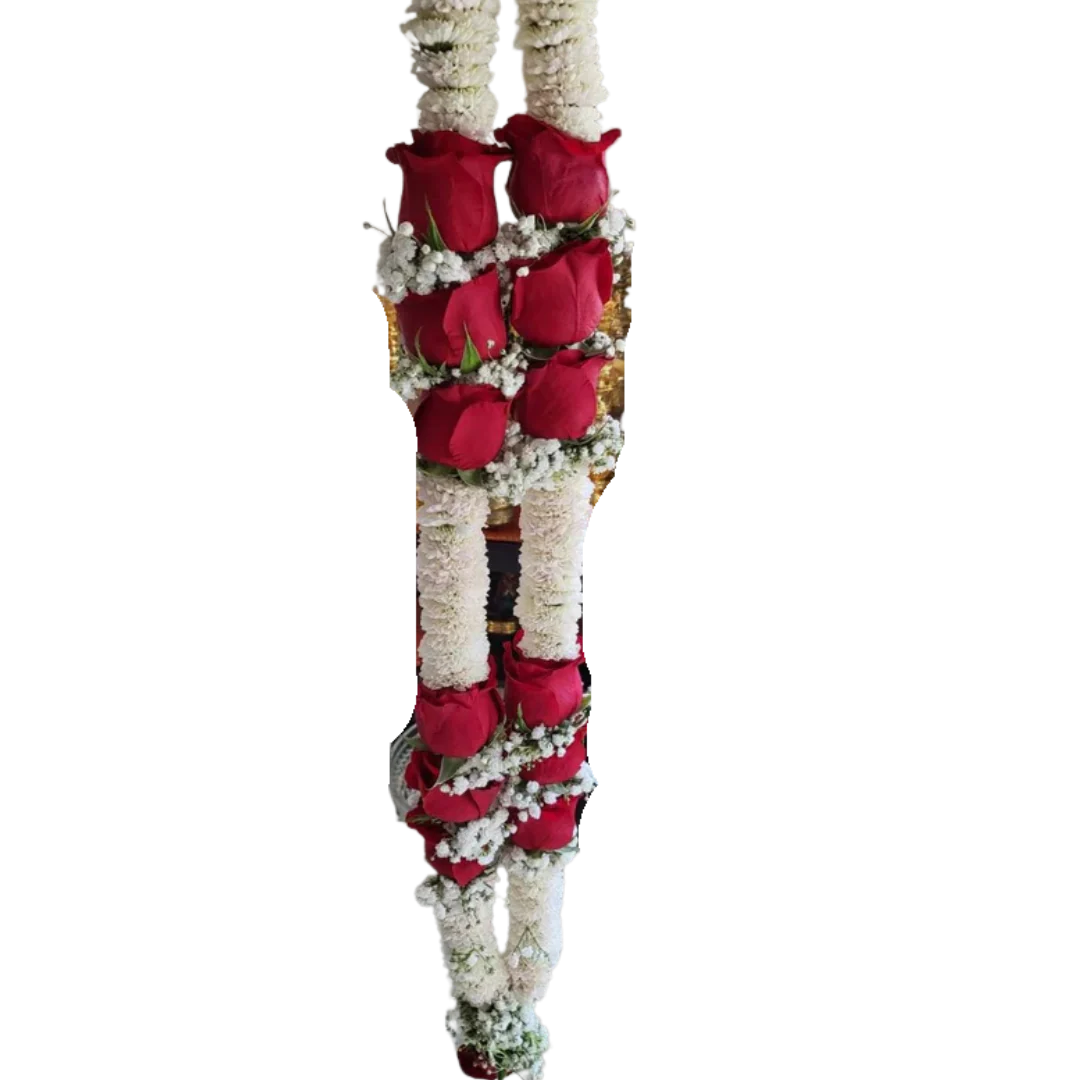 imgi_6_499_e919ba3e-b240-439a-a1ba-b320ac59f5c6